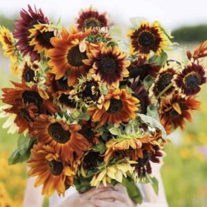 2026 Summer Subscription 6 Weekly or Biweekly Beautiful Bouquets